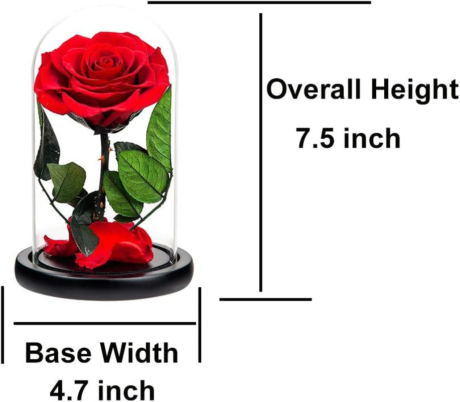 Preserved Roses Red Roses in Glass Dome, Medium, Preserved Flowers for Mothers Day, Gifts for Women