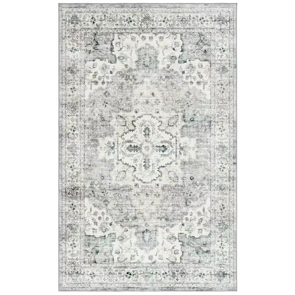 Arizona Light Gray/Beige 3 Ft. X 5 Ft. Distressed Border Ornate Machine Washable Area Rug