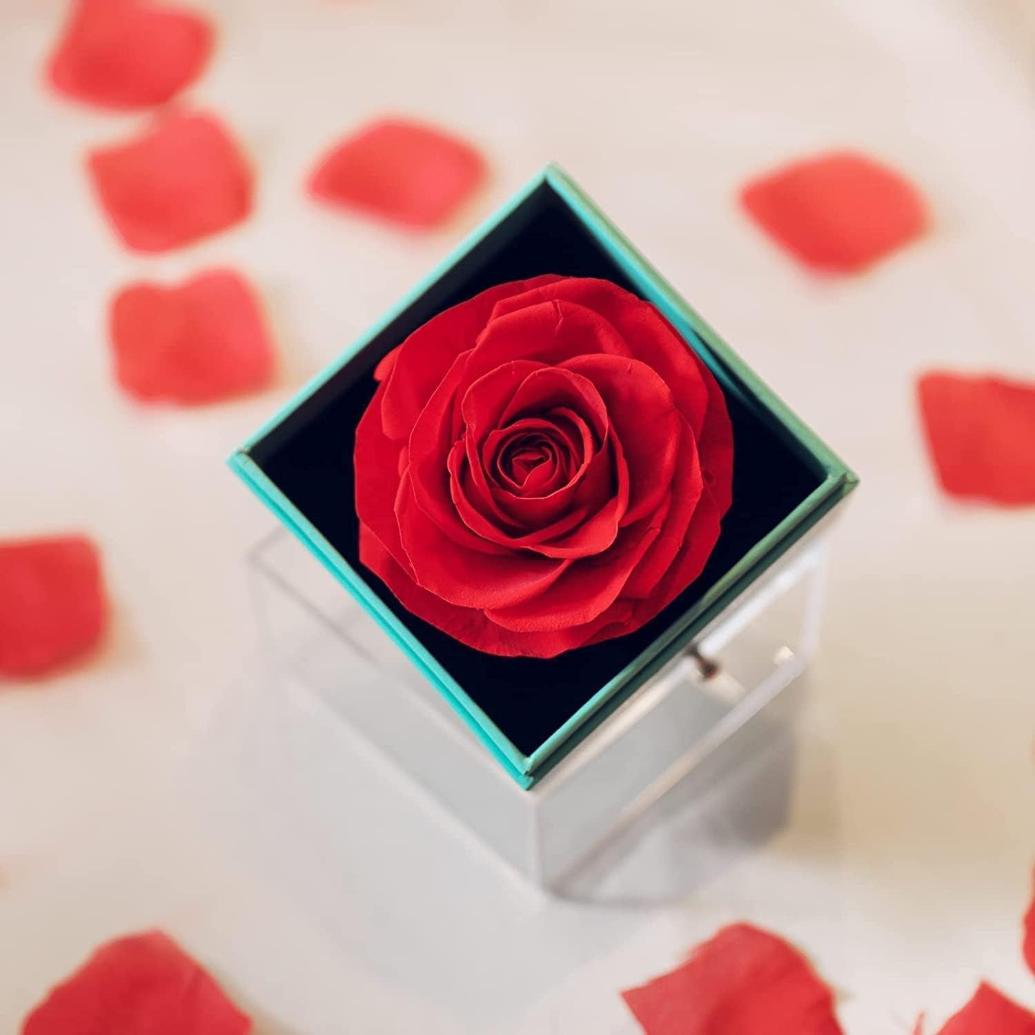 Valentines Day Gifts for Her, Preserved Real Rose with I Love You Heart Necklace 100 Languages, Birthday Gifts for Women Mom Girlfriend Wife,Forever Flower for Anniversary, Red Roses