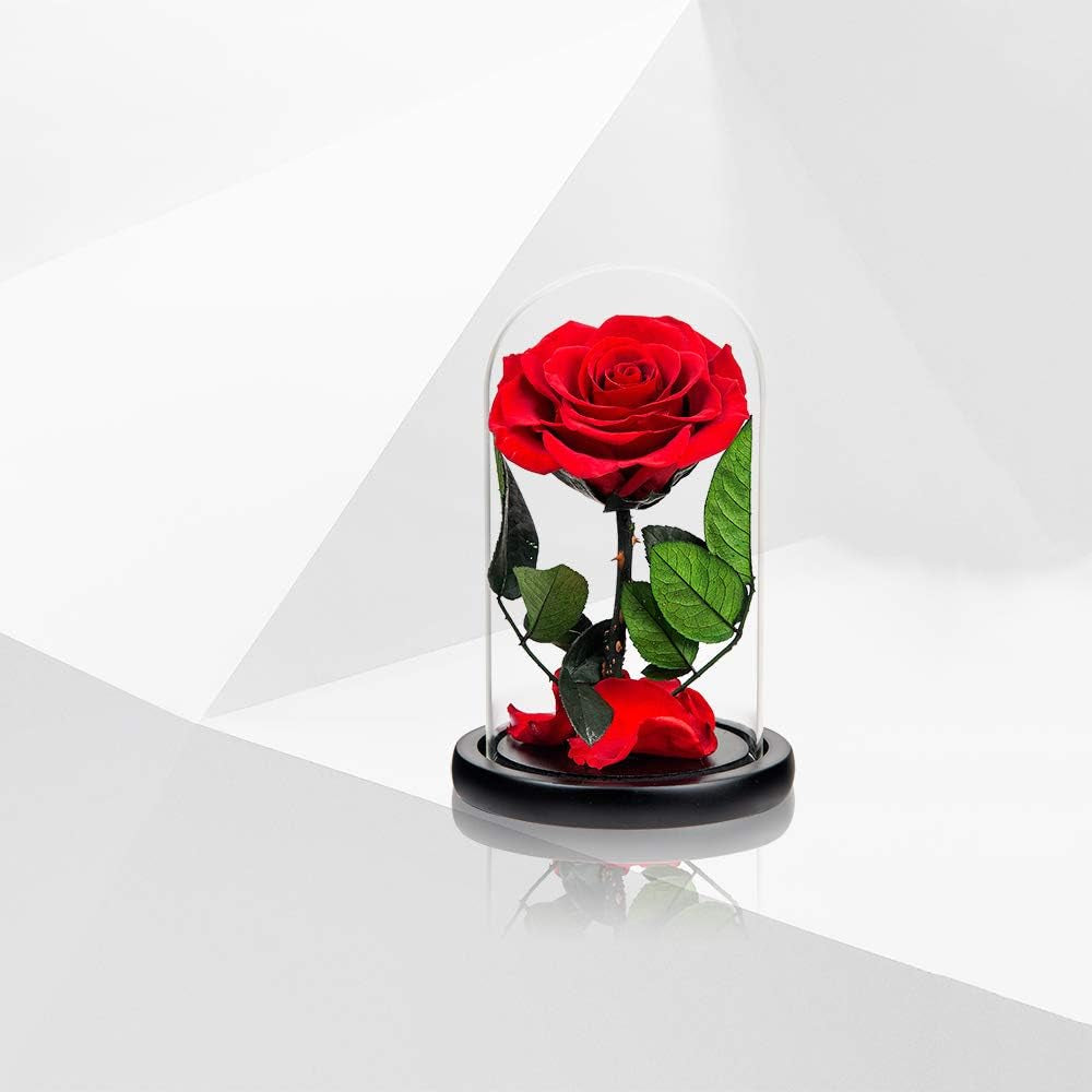 Preserved Roses Red Roses in Glass Dome, Medium, Preserved Flowers for Mothers Day, Gifts for Women