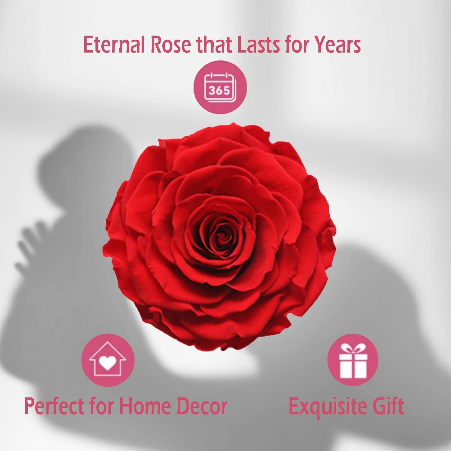 Valentines Day Gifts for Her, Preserved Real Rose with I Love You Heart Necklace 100 Languages, Birthday Gifts for Women Mom Girlfriend Wife,Forever Flower for Anniversary, Red Roses