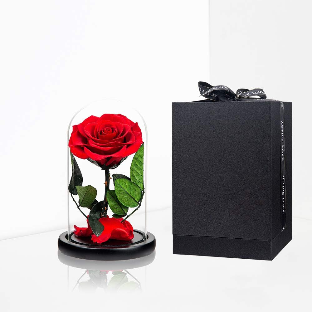 Preserved Roses Red Roses in Glass Dome, Medium, Preserved Flowers for Mothers Day, Gifts for Women